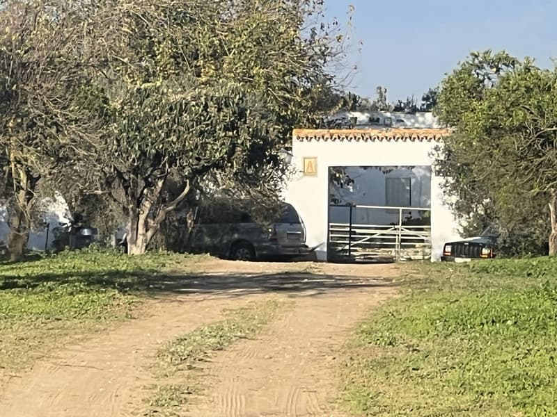 Gran Finca de Olivar con Recursos Hídricos y Potencial Agrícola — Almonte, Huelva
