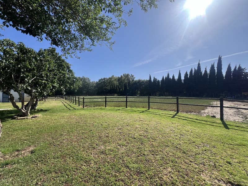 Cortijo Ecuestre con Campo de Polo — Jimena de la Frontera, Cádiz