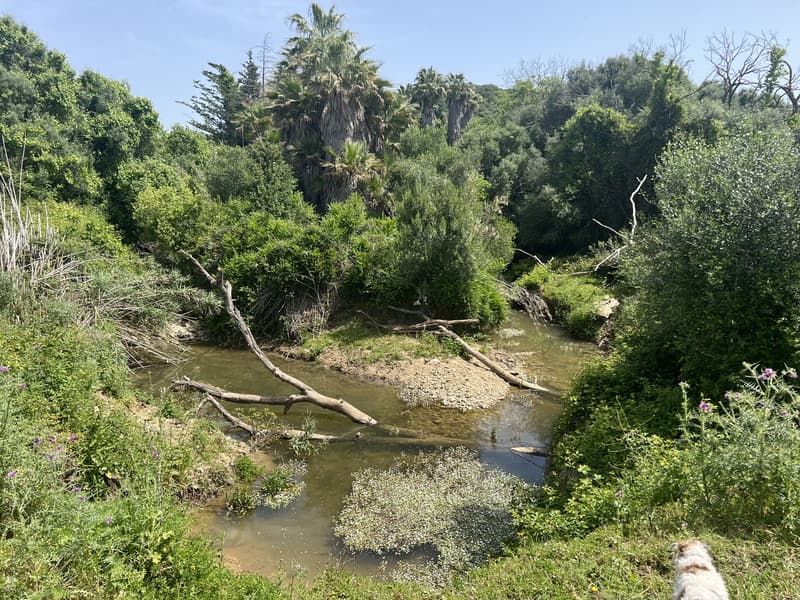 Finca Rústica Singular con Río Permanente y Cortijo Histórico — San Roque, Cádiz