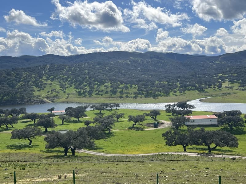 270-Hectare Country Estate with Reservoir for Sale near Aracena, Huelva