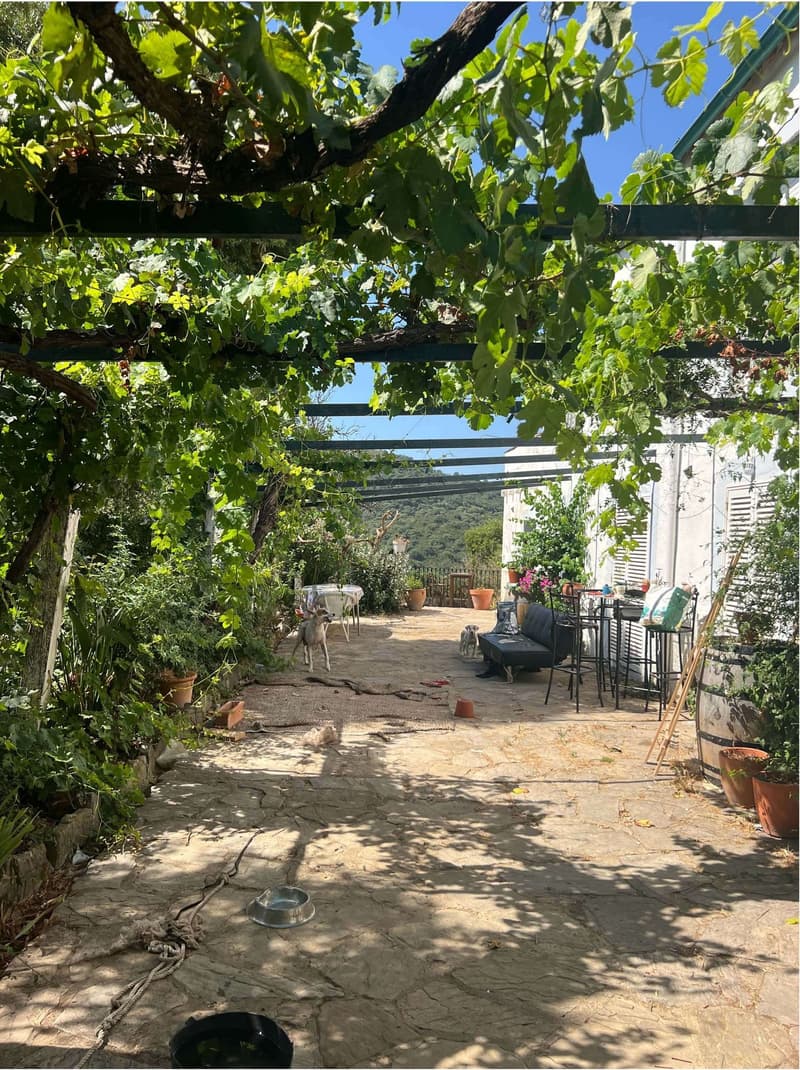 Finca de Lujo en el Parque Natural Los Alcornocales — 154 ha con Río Propio, Jimena de la Frontera